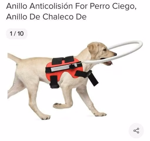 Chaleco para perrito ciego