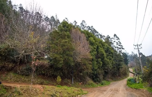Parcela en Corral,