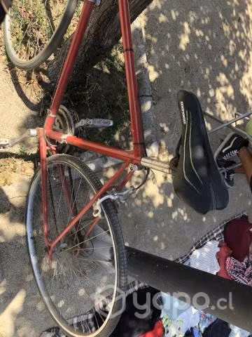 Bicicleta pistera