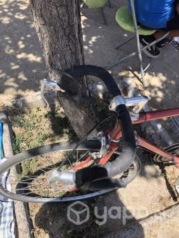 Bicicleta pistera