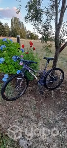 Bicicleta Oxford - Imagen 2