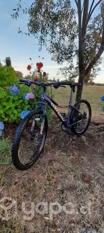 Bicicleta Oxford