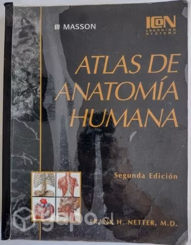 Atlas de Anatomía Humana