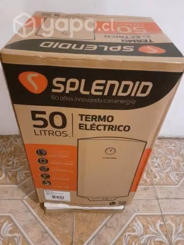 Termo electrico