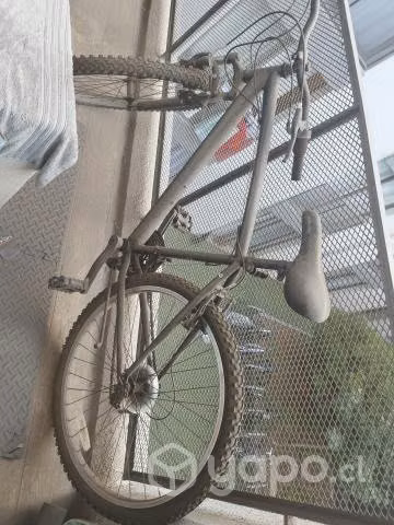 Bicicleta - Imagen 2