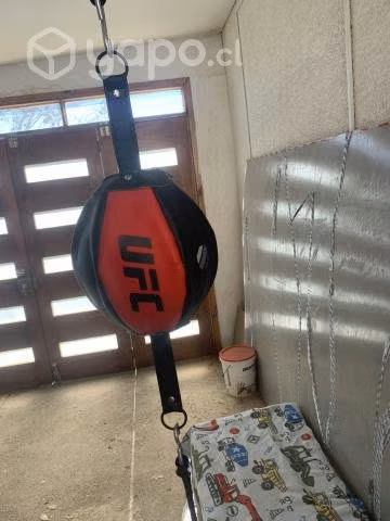 Pera loca boxeo UFC