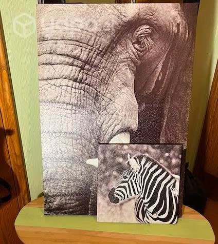 Cuadro elefante