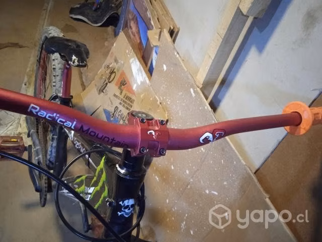Bicicleta ozono
