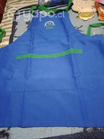 Delantal tec. educación parvularia s.t