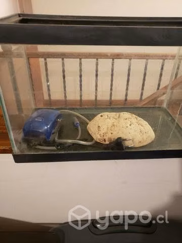 Acuario con accesorio