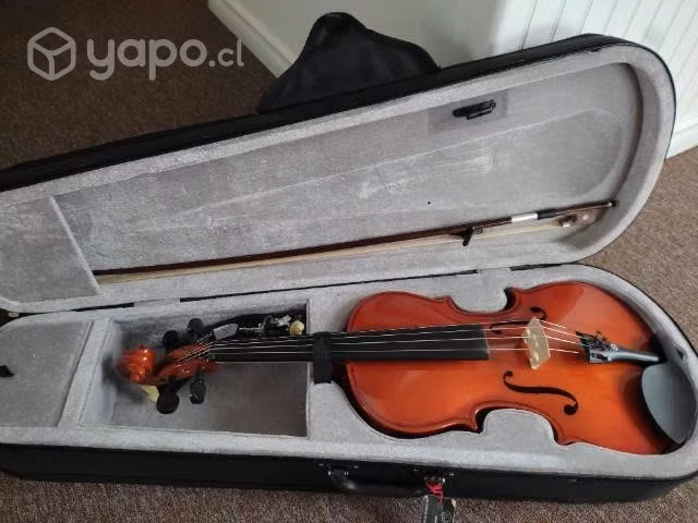 Viola