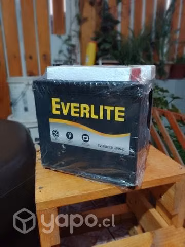 Batería 60amp hora - 55D23L Everlite