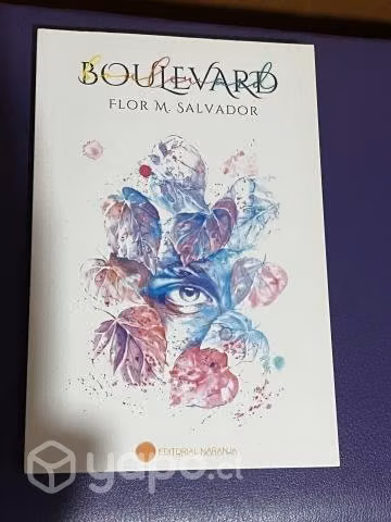 Boulevard libro