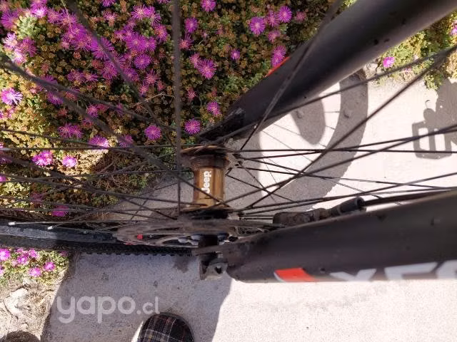 Bicicleta jeep