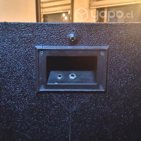 2 parlantes coxx 10" - Imagen 4