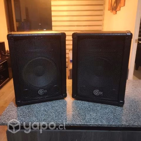 2 parlantes coxx 10" - Imagen 2