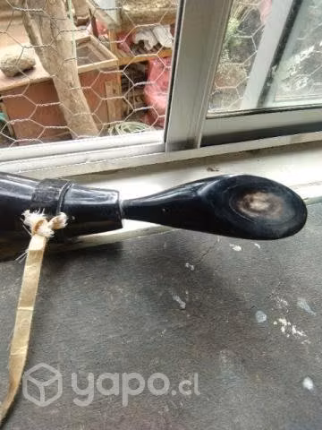 Cuerno decorativo