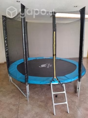 Cama elastica