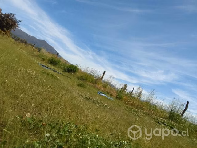 Pasto en rollo
