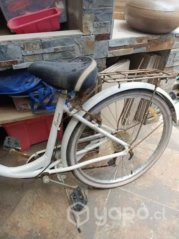Bicicleta paseo