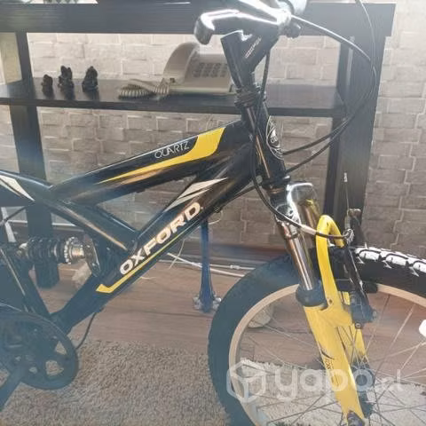 Bicicleta Oxford Aro 24
