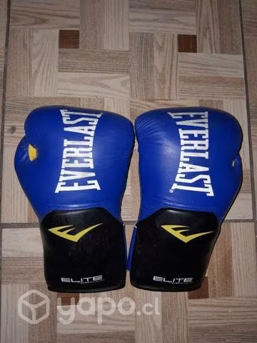 Gauntes Everlast Usados