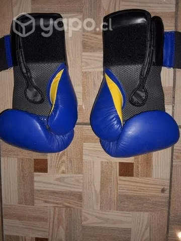 Gauntes Everlast Usados