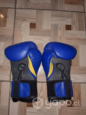 Gauntes Everlast Usados