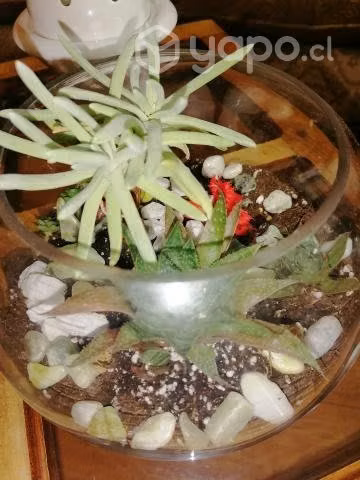 Jardines pequeños para decorar tu hogar