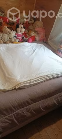 Jersey Blanco y tela de buzo algodón
