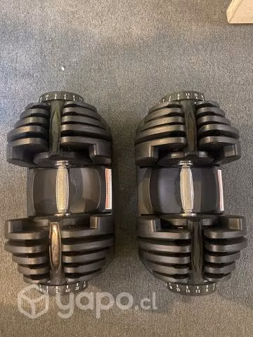 Mancuernas ajustables de 40kg