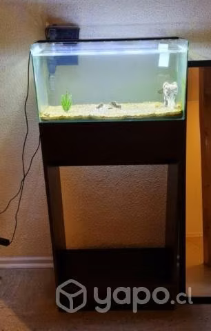 Acuario 50 lts