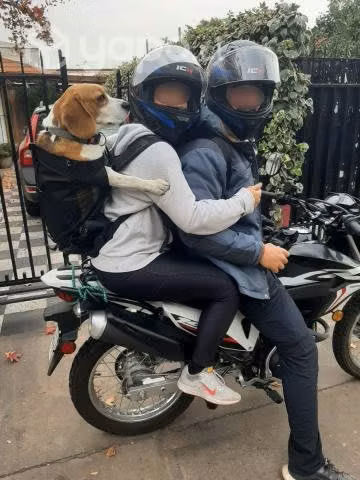 Mochila Transportadora Para Perros