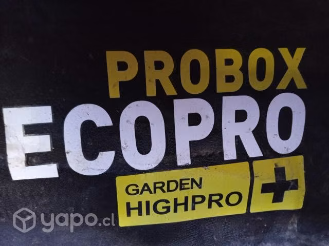 Indoor grande