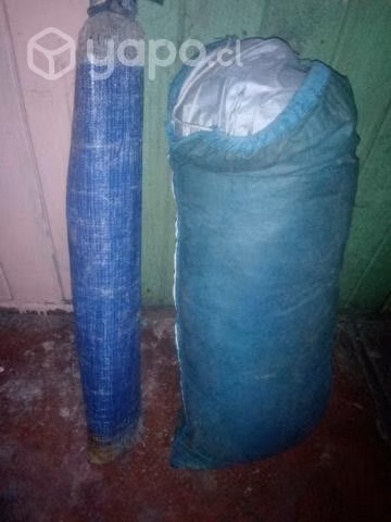 Carpa