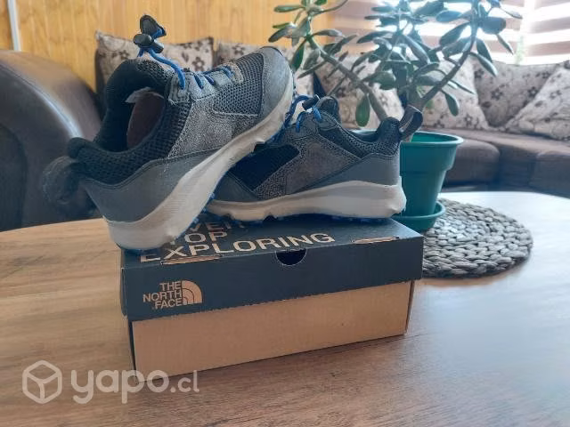 Zapatillas TNF N°31