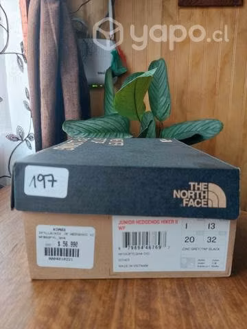 Zapatillas TNF N°31