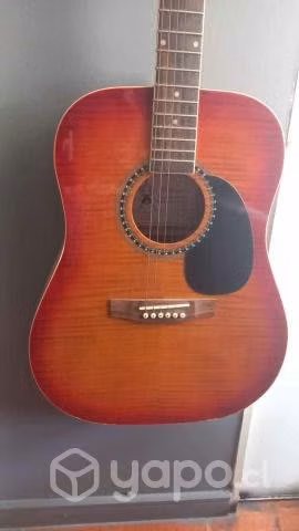 Guitarra Acústica Palmer