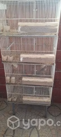 jaulas de aves