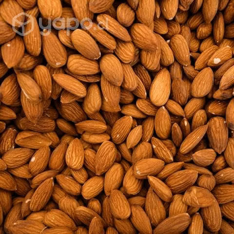 Almendras Non Pareil