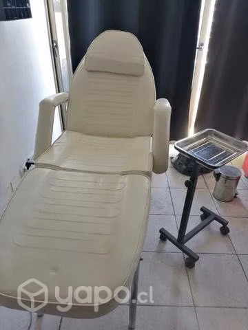 Camilla profesional