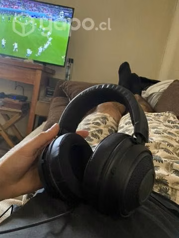 Razer kraken pro v2