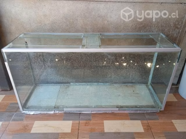 Pecera - Imagen 2