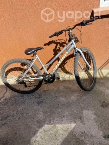 Bicicleta y patines