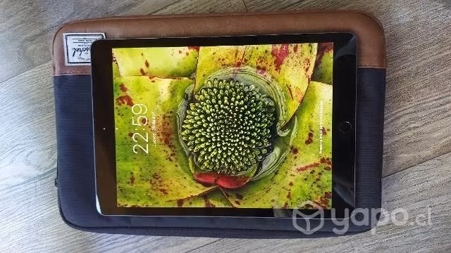IPad 10,2" Modelo A2197 - Imagen 4