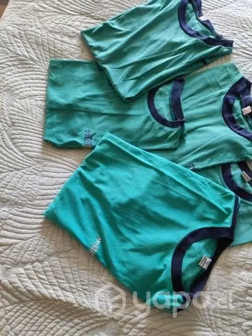 Poleras colegio antilhue