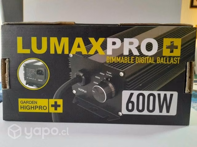 Kit indoor gorila completo