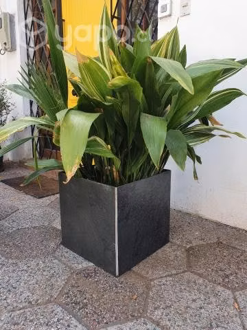 Maceteros de piedra pizarra