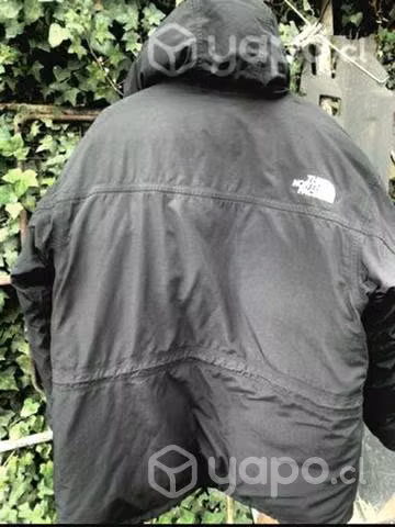 Parka the north face