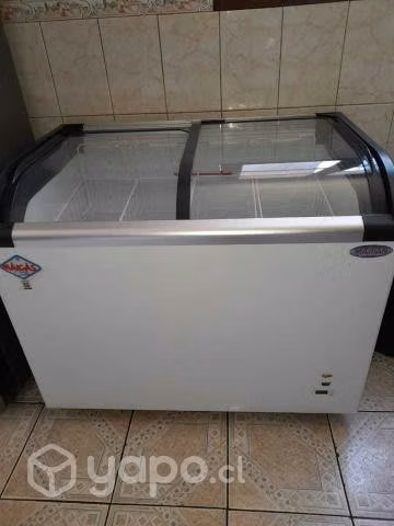 Conservadora vidrio curvo